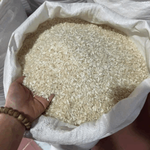 GẠO NẾP NƯƠNG ĐIỆN BIÊN LOẠI 1 HẠT TO