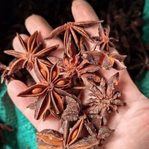 HOA HỒI KHÔ