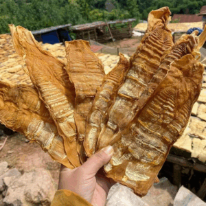 Măng Tre Mầm