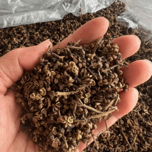 HẠT MẮC KHÉN