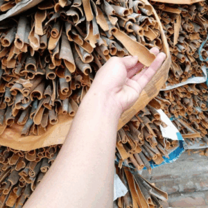 VỎ QUẾ KHÔ