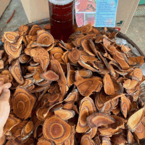 CÂY CỎ MÁU