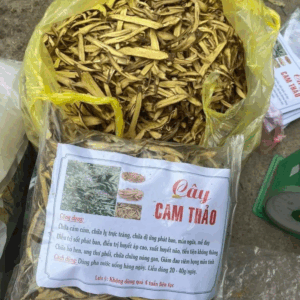 CAM THẢO