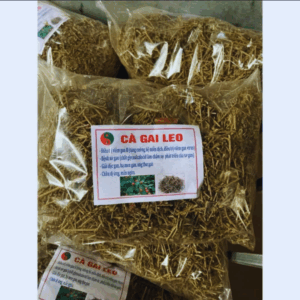 CÀ GAI LEO KHÔ