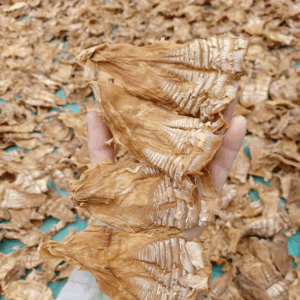 Măng Nứa khô