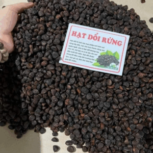HẠT DỔI RỪNG