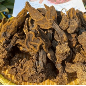 NẤM NGỌC CẨU KHÔ
